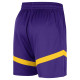 Nike Ανδρικό σορτς Los Angeles Lakers Practice Icon+